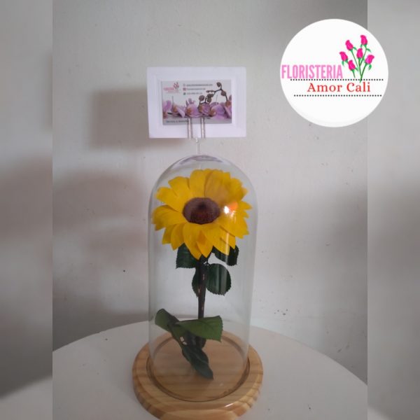 Girasol eterno