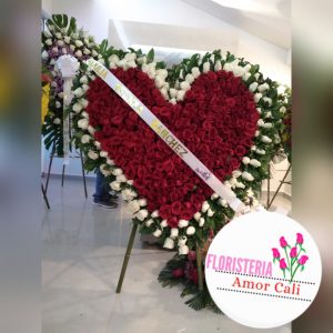 corazón rojo y blanco