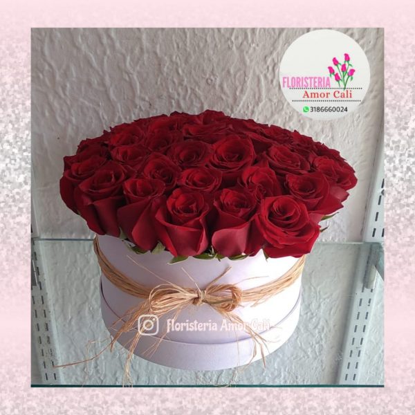 cubo de rosas