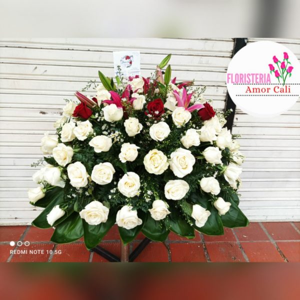 cubre caja fúnebre