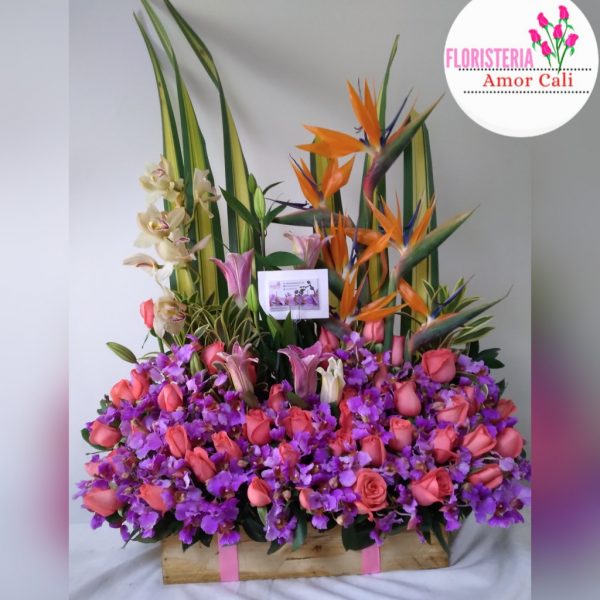 jardinera linda