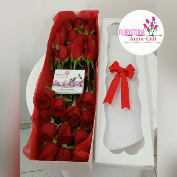 caja de 20 rosas