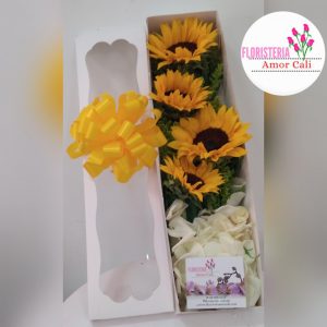 caja de girasoles